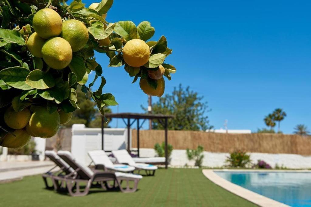The Lovely Villa Ibiza Екстер'єр фото